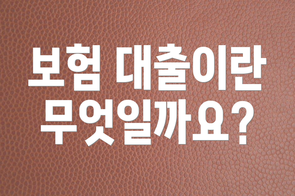 보험 대출이란 무엇일까요?