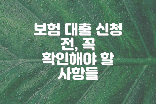 보험 대출 신청 전, 꼭 확인해야 할 사항들