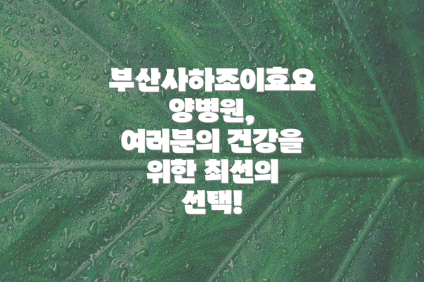 부산사하조이효요양병원, 여러분의 건강을 위한 최선의 선택!