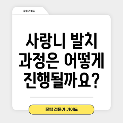 사랑니 발치 과정은 어떻게 진행될까요?