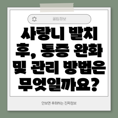 사랑니 발치 후, 통증 완화 및 관리 방법은 무엇일까요?