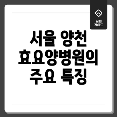 서울 양천 효요양병원의 주요 특징