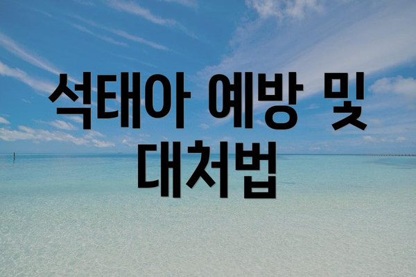 석태아 예방 및 대처법