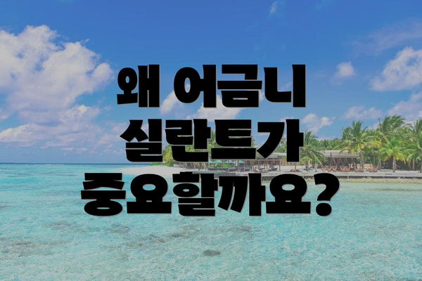 왜 어금니 실란트가 중요할까요?
