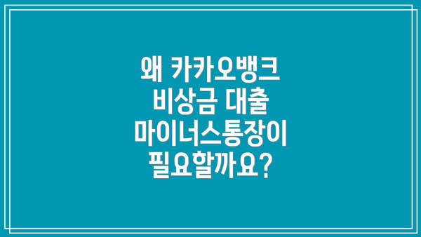 왜 카카오뱅크 비상금 대출 마이너스통장이 필요할까요?