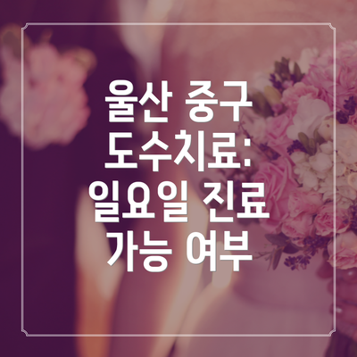 울산 중구 도수치료: 일요일 진료 가능 여부
