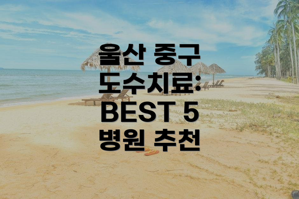 울산 중구 도수치료: BEST 5 병원 추천