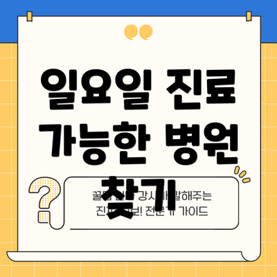 일요일 진료 가능한 병원 찾기
