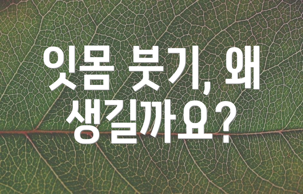 잇몸 붓기, 왜 생길까요?