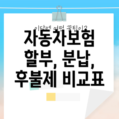 자동차보험 할부, 분납, 후불제 비교표