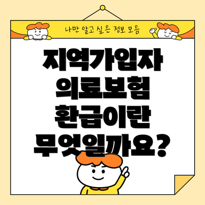 지역가입자 의료보험 환급이란 무엇일까요?