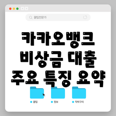 카카오뱅크 비상금 대출 주요 특징 요약