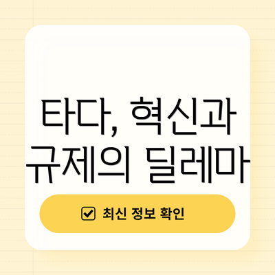 타다, 혁신과 규제의 딜레마