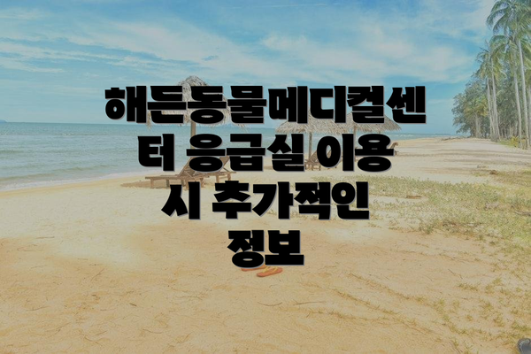 해든동물메디컬센터 응급실 이용 시 추가적인 정보