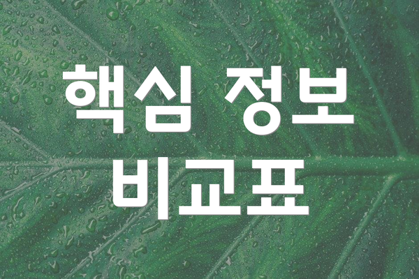 핵심 정보 비교표