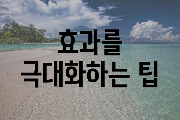 효과를 극대화하는 팁