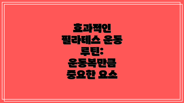 효과적인 필라테스 운동 루틴:  운동복만큼 중요한 요소