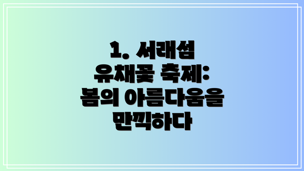 1. 서래섬 유채꽃 축제: 봄의 아름다움을 만끽하다