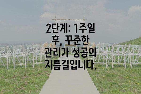 2단계: 1주일 후, 꾸준한 관리가 성공의 지름길입니다.