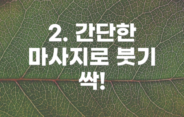 2. 간단한 마사지로 붓기 싹!