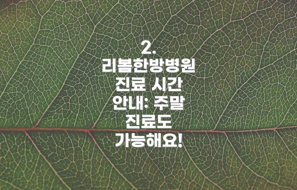 2. 리봄한방병원 진료 시간 안내: 주말 진료도 가능해요!