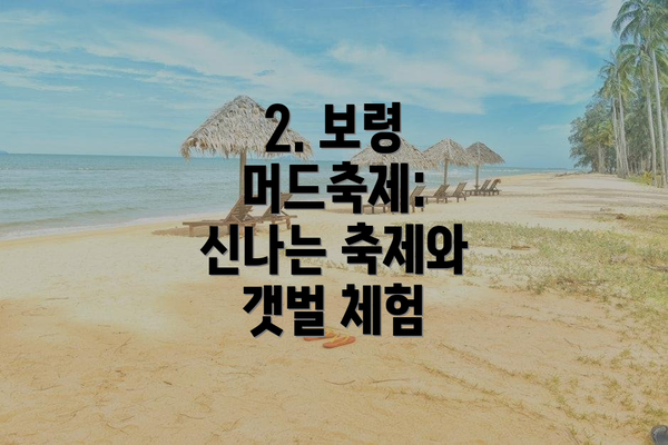 2. 보령 머드축제: 신나는 축제와 갯벌 체험
