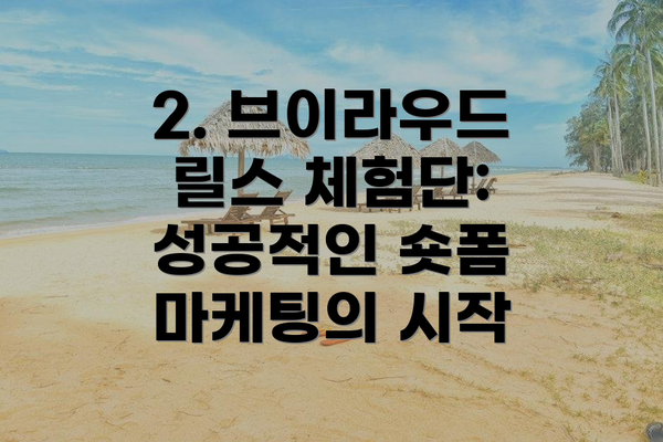 2. 브이라우드 릴스 체험단: 성공적인 숏폼 마케팅의 시작