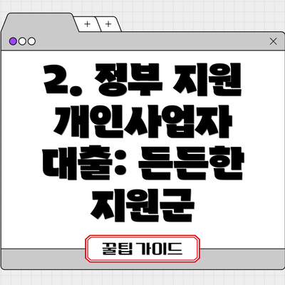 2. 정부 지원 개인사업자 대출: 든든한 지원군