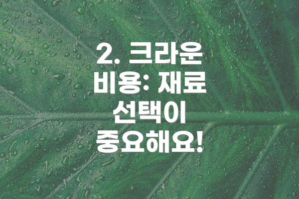 2. 크라운 비용: 재료 선택이 중요해요!