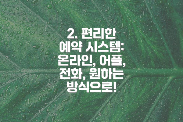 2. 편리한 예약 시스템: 온라인, 어플, 전화, 원하는 방식으로!