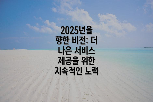 2025년을 향한 비전: 더 나은 서비스 제공을 위한 지속적인 노력