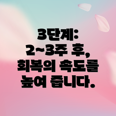 3단계: 2~3주 후, 회복의 속도를 높여 줍니다.