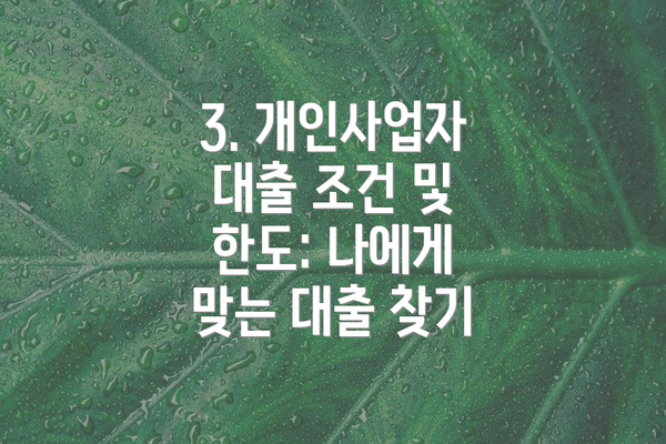3. 개인사업자 대출 조건 및 한도: 나에게 맞는 대출 찾기