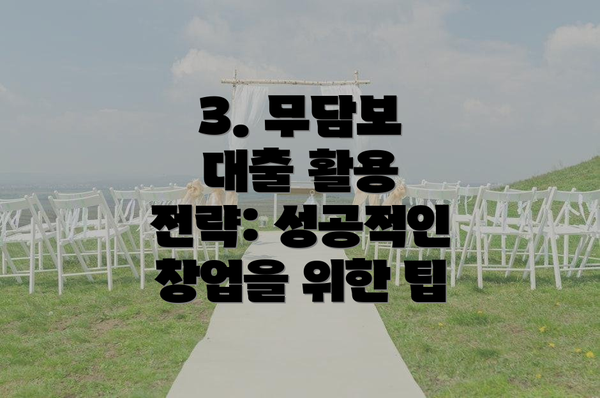 3. 무담보 대출 활용 전략: 성공적인 창업을 위한 팁