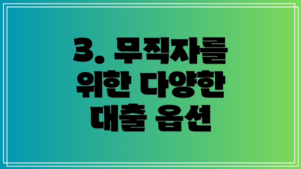 3. 무직자를 위한 다양한 대출 옵션