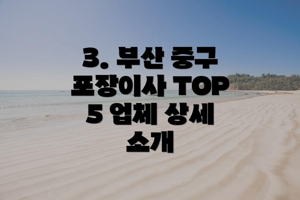 3. 부산 중구 포장이사 TOP 5 업체 상세 소개