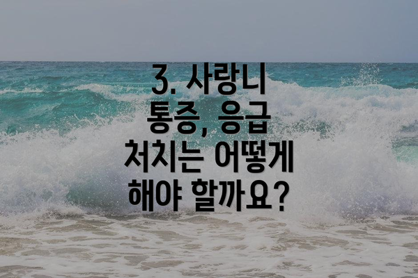 3. 사랑니 통증, 응급 처치는 어떻게 해야 할까요?