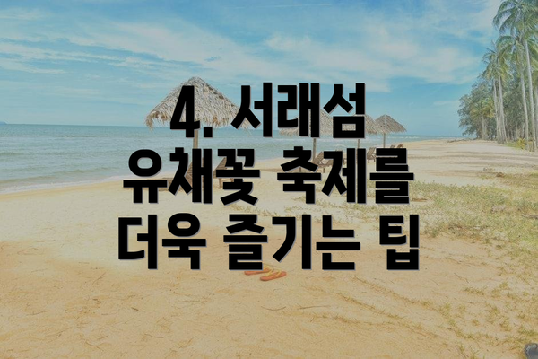 4. 서래섬 유채꽃 축제를 더욱 즐기는 팁