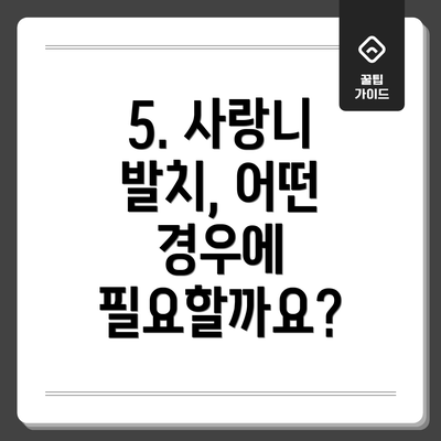 5. 사랑니 발치, 어떤 경우에 필요할까요?