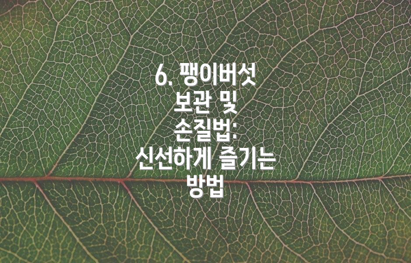 6. 팽이버섯 보관 및 손질법: 신선하게 즐기는 방법
