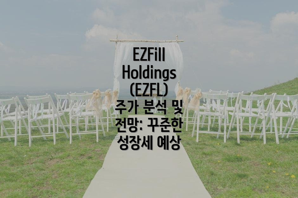 EZFill Holdings (EZFL) 투자 전략: 장기적인 관점과 리스크 관리